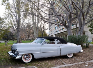 1951 CADILLAC Series 62 Convertible 1951 CADILLAC Series 62 Convertible